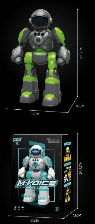 Smart Programmable Interactive RC Robot with Voice Control