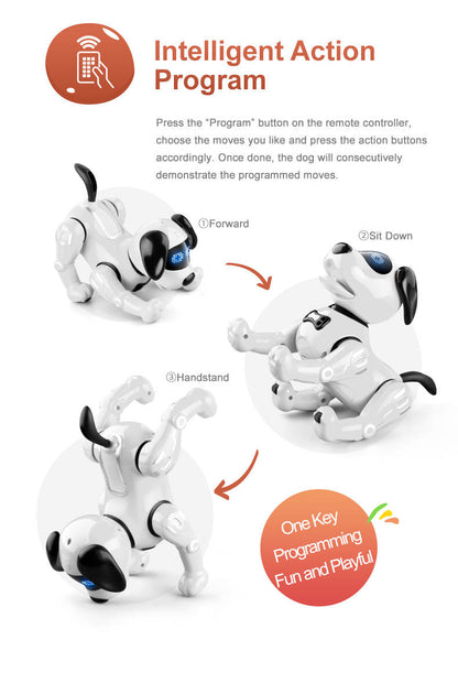 Remote Control Robot Dog Toy for Kids with Voice, Walking/Dancing/Interactive