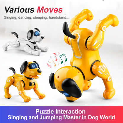 Remote Control Robot Dog Toy for Kids with Voice, Walking/Dancing/Interactive